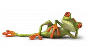 Frog-relax-Funny-Wallpaper-Images